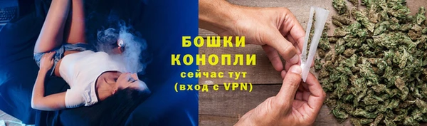 apvp Новозыбков