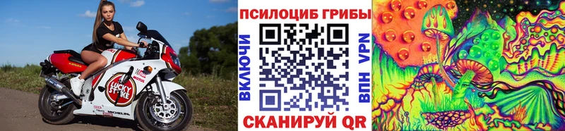 Псилоцибиновые грибы мухоморы  купить наркотик  Сасово 